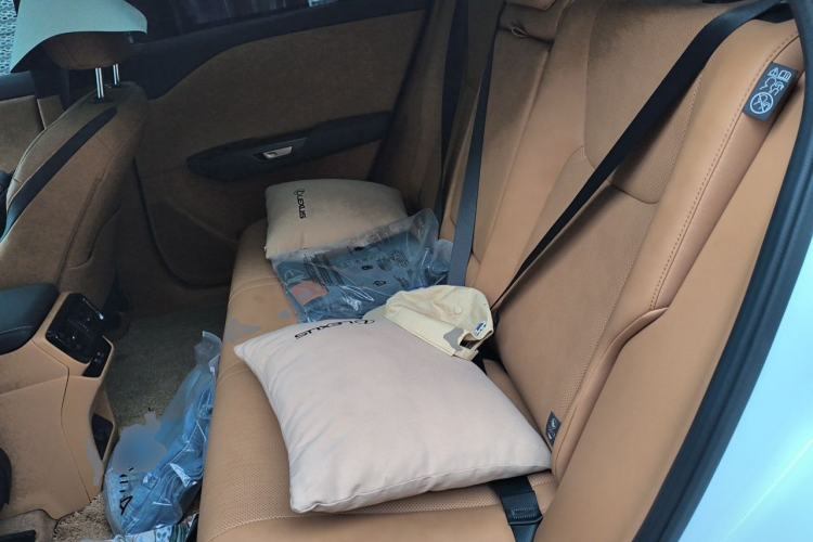 Used Lexus RZ 2023 450e All-Wheel Drive Luxury Edition Left Rear Seat