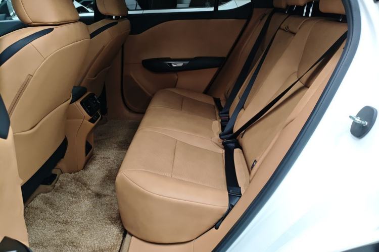 Used Lexus RZ 2023 450e All-Wheel Drive Luxury Edition Left Rear Seat