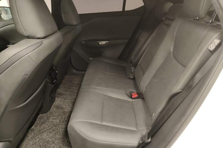Used Lexus RZ 2023 450e All-Wheel Drive Luxury Edition Left Rear Seat