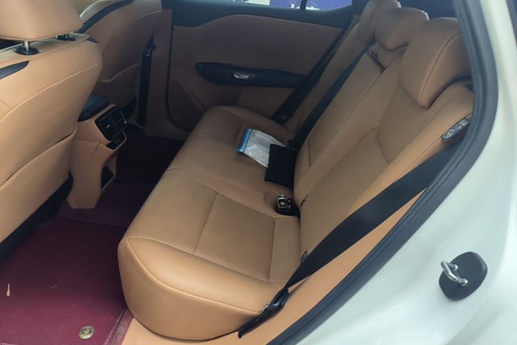 Used Lexus RZ 2023 450e All-Wheel Drive Luxury Edition Left Rear Seat