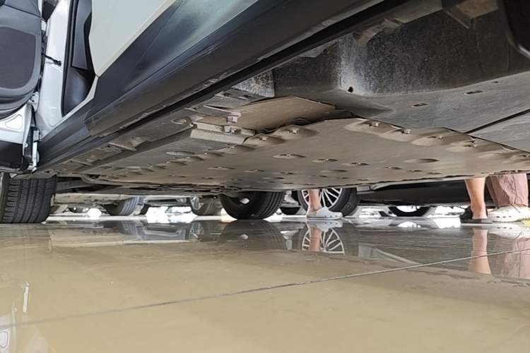 Used Lexus RZ 2023 450e All-Wheel-Drive Long-Range Version Left Side Sill