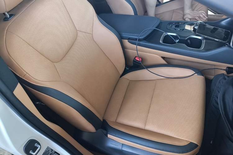 Used Lexus RZ 2023 450e All-Wheel Drive Luxury Edition Right Front Seat