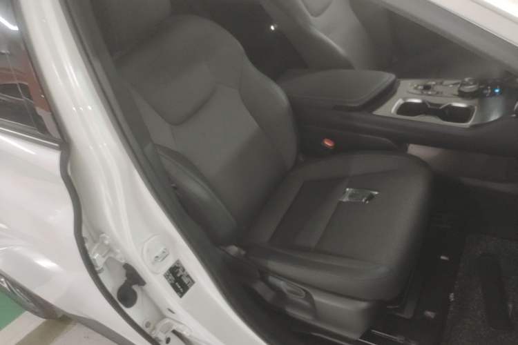 Used Lexus RZ 2023 450e All-Wheel-Drive Long-Range Version Right Front Seat