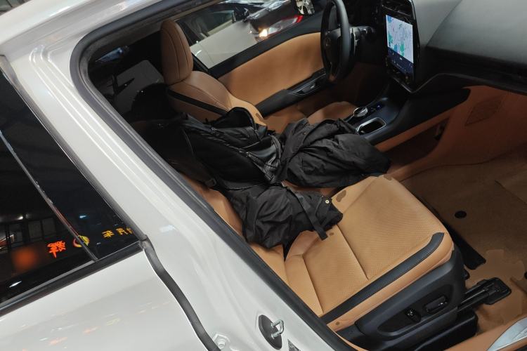 Used Lexus RZ 2023 450e All-Wheel Drive Luxury Edition Right Front Seat