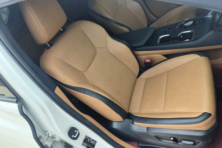 Used Lexus RZ 2023 450e All-Wheel Drive Luxury Edition Right Front Seat