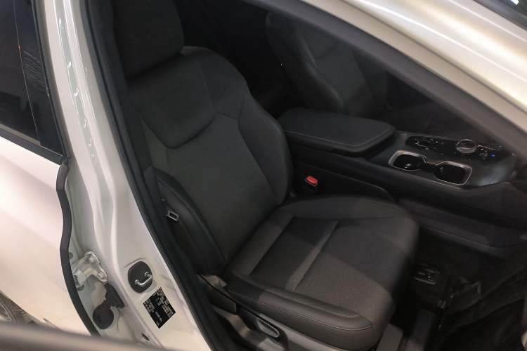Used Lexus RZ 2023 450e All-Wheel-Drive Long-Range Version Right Front Seat