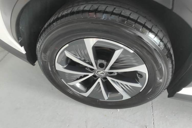 Used Lexus RZ 2023 450e All-Wheel Drive Luxury Edition Right Rear Wheel Hub