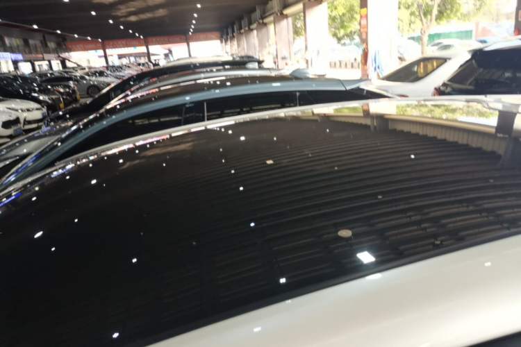 Used Lexus RZ 2023 450e All-Wheel Drive Luxury Edition Roof