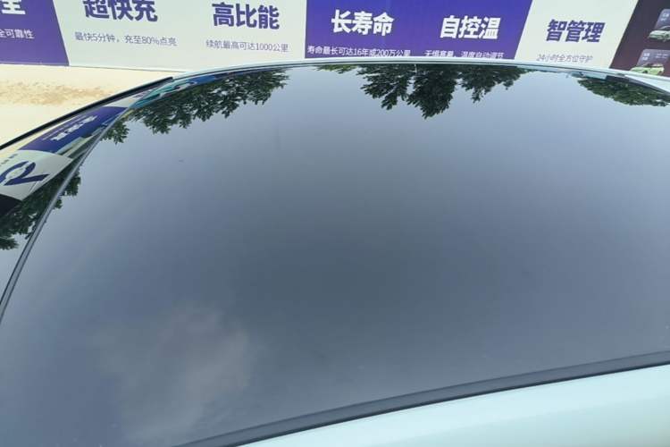 Used Lexus RZ 2023 450e All-Wheel Drive Luxury Edition Roof