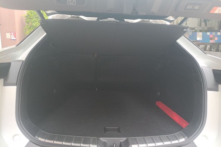 Used Lexus RZ 2023 450e All-Wheel Drive Luxury Edition Trunk
