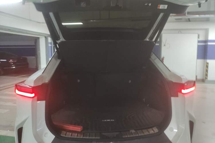 Used Lexus RZ 2023 450e All-Wheel-Drive Long-Range Version Trunk