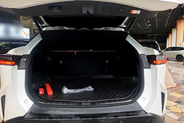 Used Lexus RZ 2023 450e All-Wheel Drive Luxury Edition Trunk