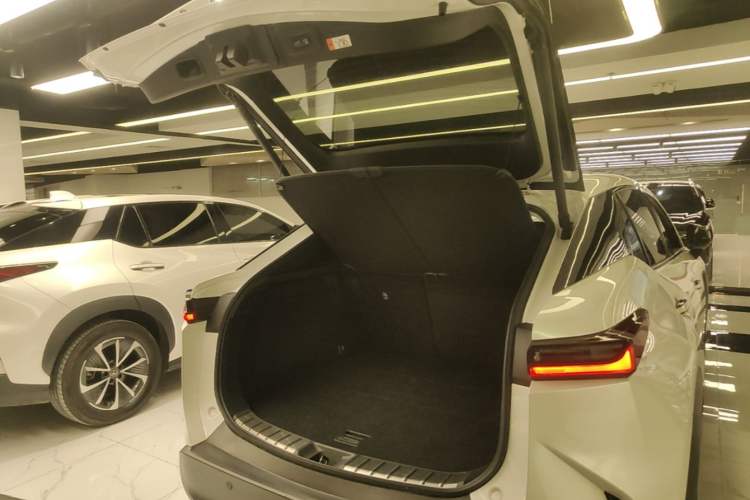 Used Lexus RZ 2023 450e All-Wheel Drive Luxury Edition Trunk
