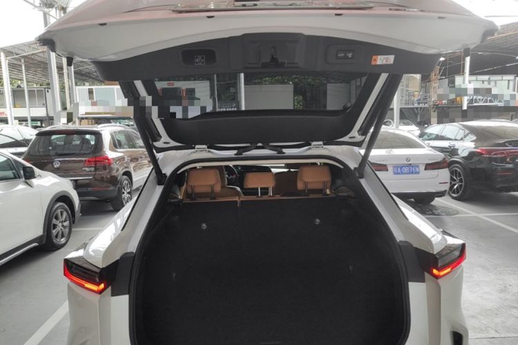 Used Lexus RZ 2023 450e All-Wheel Drive Luxury Edition Trunk
