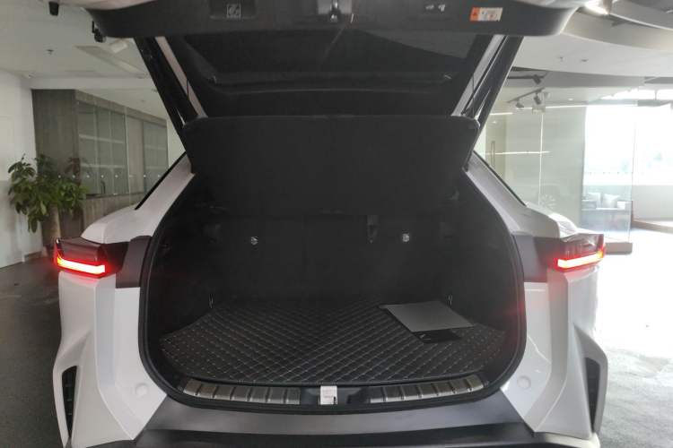 Used Lexus RZ 2023 450e All-Wheel Drive Luxury Edition Trunk