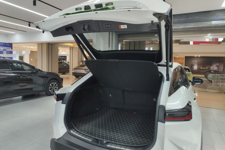 Used Lexus RZ 2023 450e All-Wheel Drive Luxury Edition Trunk