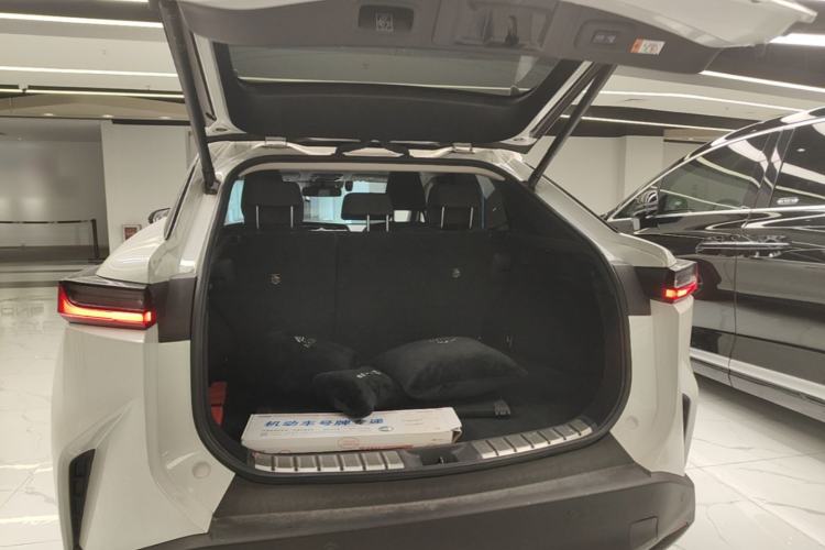 Used Lexus RZ 2023 450e All-Wheel-Drive Long-Range Version Trunk