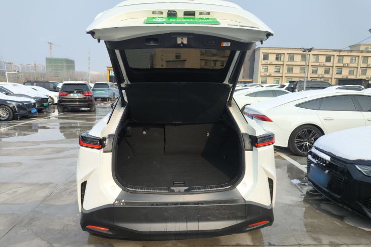 Used Lexus RZ 2023 450e All-Wheel Drive Luxury Edition Trunk