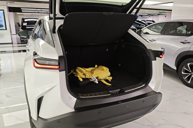 Used Lexus RZ 2023 450e All-Wheel Drive Luxury Edition Trunk