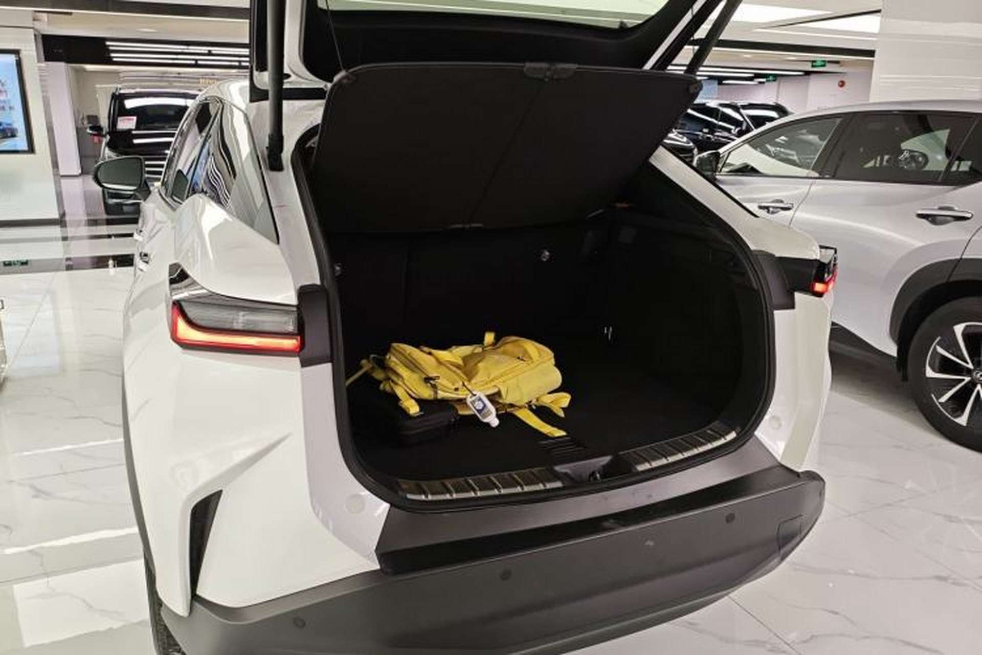 Used Lexus RZ 2023 450e All-Wheel Drive Luxury Edition Trunk