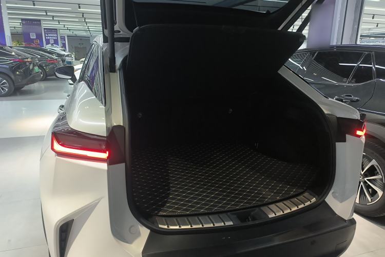 Used Lexus RZ 2023 450e All-Wheel-Drive Long-Range Version Trunk