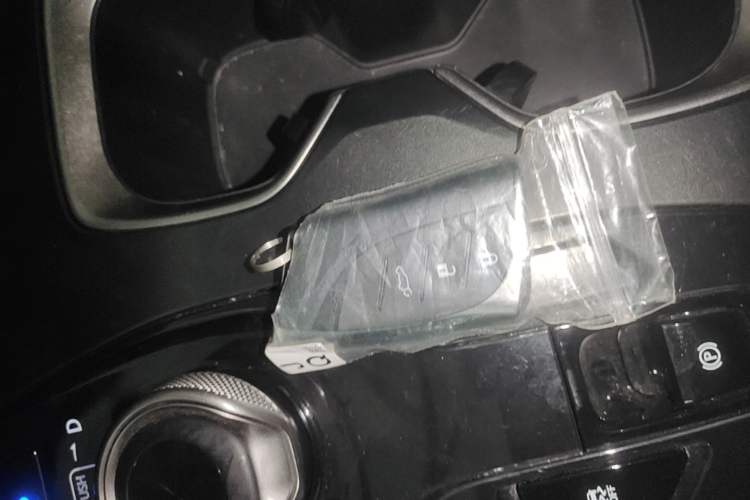 Used Lexus RZ 2023 450e All-Wheel-Drive Long-Range Version Vehicle Key