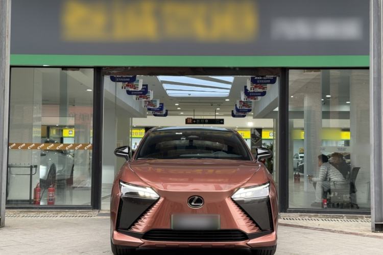 Used Lexus RZ 2023 450e All-Wheel Drive Luxury Edition Exterior 5
