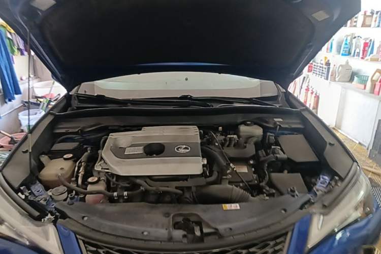 Used Lexus UX 2019 260h F SPORT Version China VI Standard Engine Bay