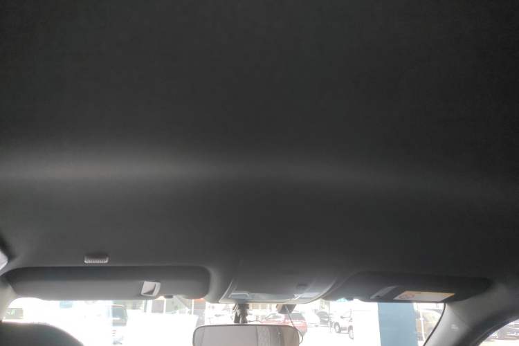 Used Lexus UX 2019 260h Explore-Cool Edition China VI Standard Headliner