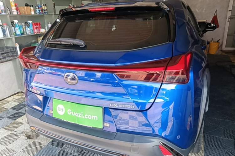 Used Lexus UX 2019 260h F SPORT Version China VI Standard Rear