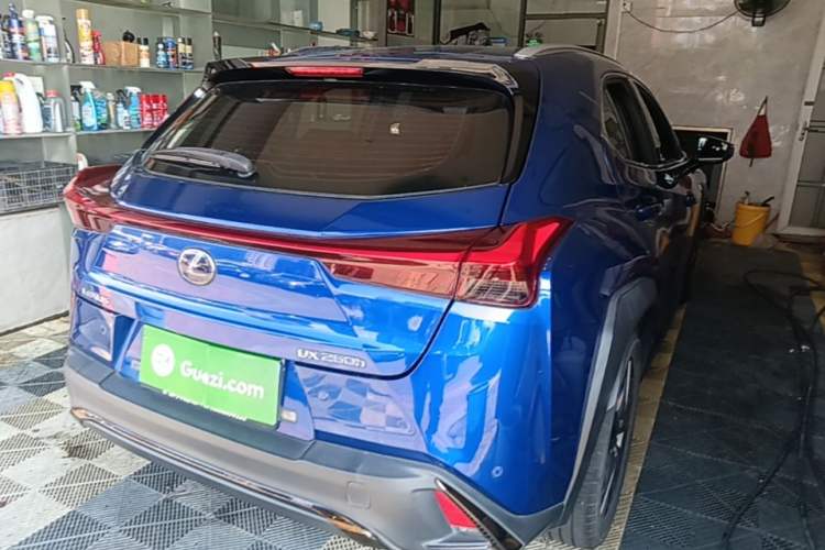 Used Lexus UX 2019 260h F SPORT Version China VI Standard Rear Right 45 Deg