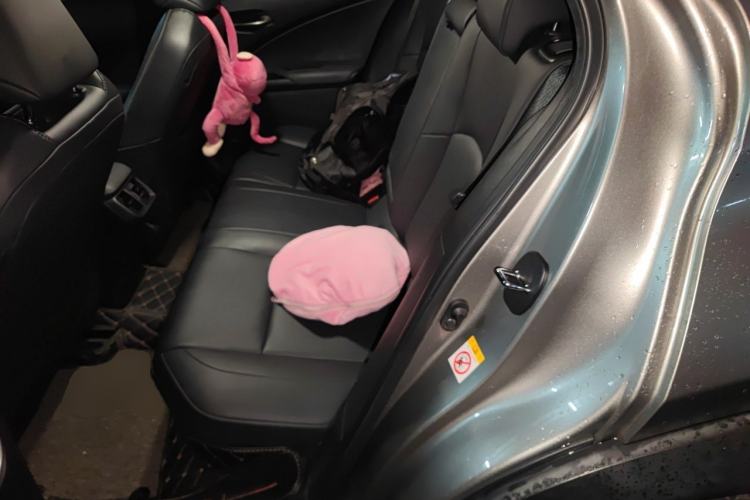 Used Lexus UX 2019 260h Explore·Fun Edition China VI Standard Left Rear Seat
