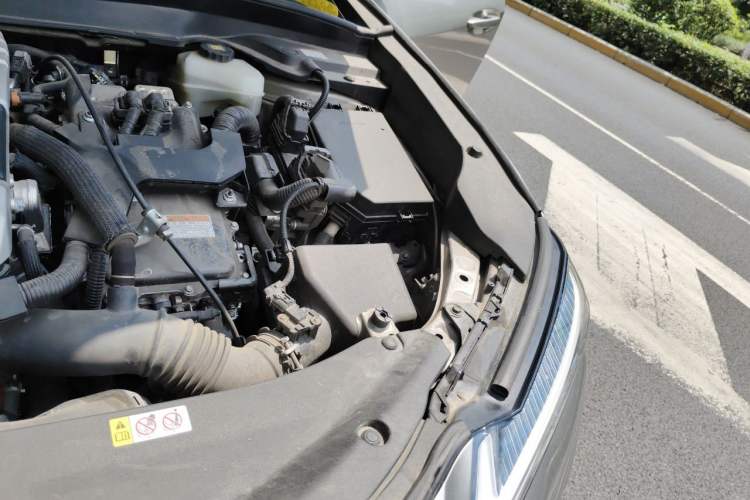 Used Lexus UX 2019 260h F SPORT Version China V Standard Engine Bay Left
