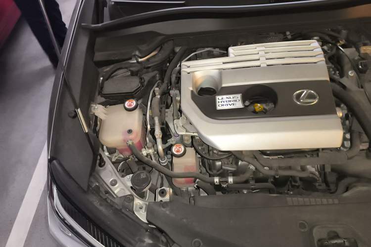 Used Lexus UX 2019 260h Explore·Fun Edition China VI Standard Engine Bay Right