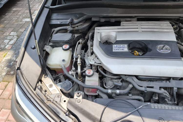 Used Lexus UX 2019 260h F SPORT Version China V Standard Engine Bay Right