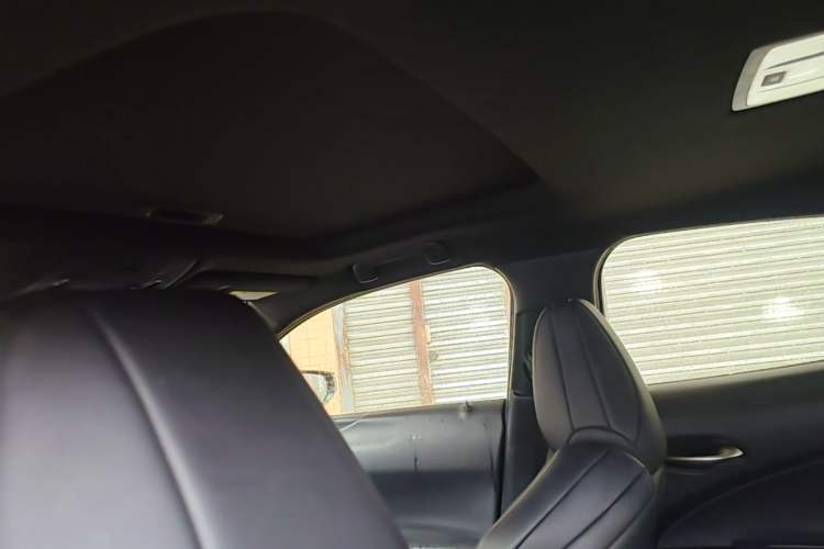 Used Lexus UX 2019 260h F SPORT Version China V Standard Headliner