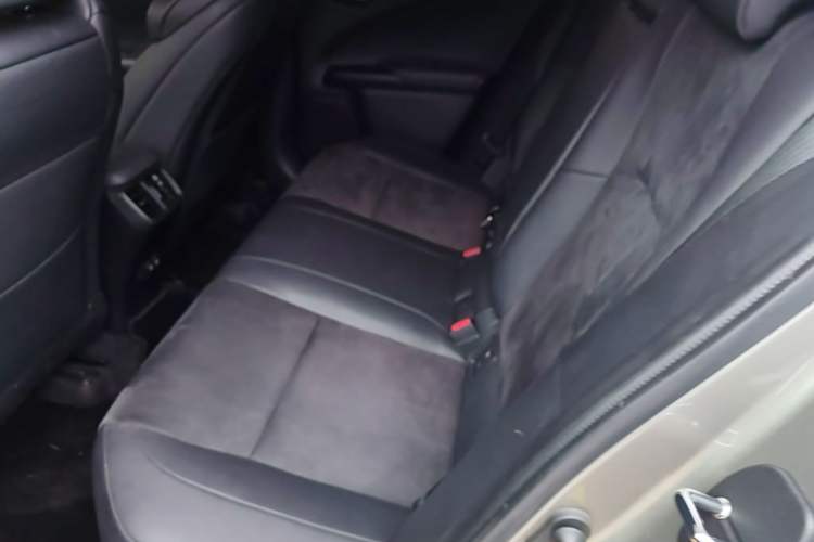 Used Lexus UX 2019 260h F SPORT Version China V Standard Left Rear Seat