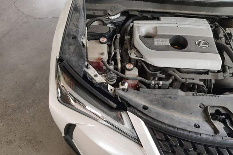Used Lexus UX 2019 260h Explore·Fun Edition China VI Standard Engine Bay Right