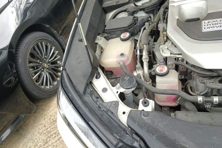 Used Lexus UX 2019 260h Explore-Cool Edition China VI Standard Engine Bay Right