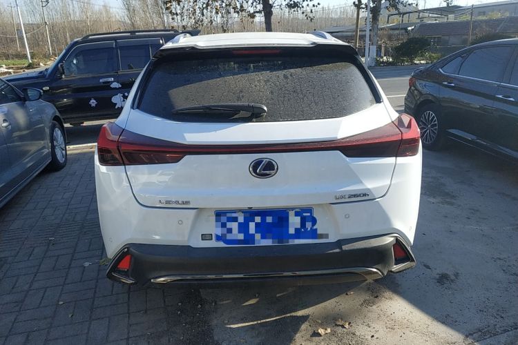 Used Lexus UX 2019 260h F SPORT All-Wheel-Drive China V Emission Standard Rear