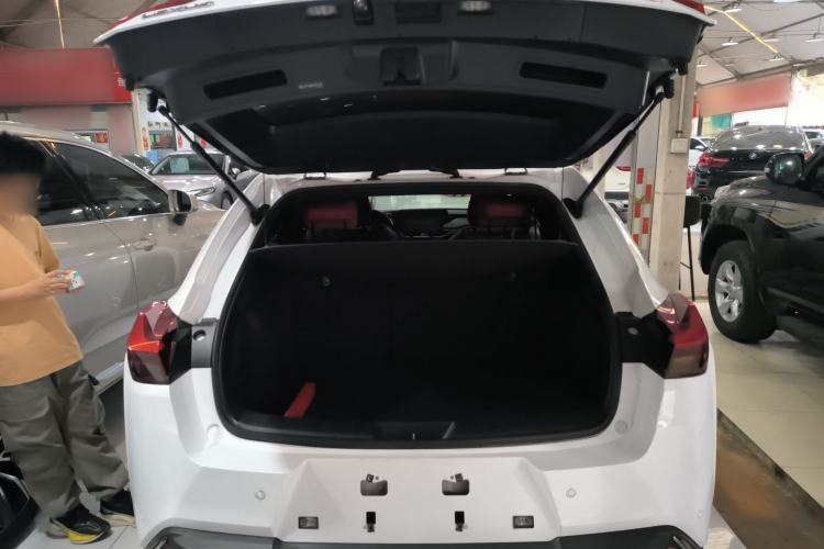 Used Lexus UX 2019 200 F SPORT Version Trunk