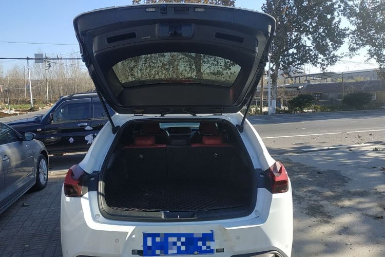 Used Lexus UX 2019 260h F SPORT All-Wheel-Drive China V Emission Standard Trunk