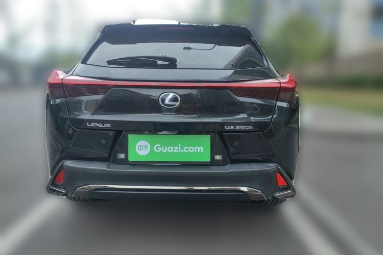 Used Lexus UX 2020 260h F SPORT Version Rear