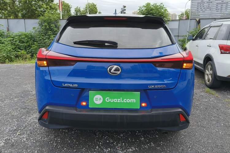 Used Lexus UX 2020 260h Explore & Adventure Edition Rear