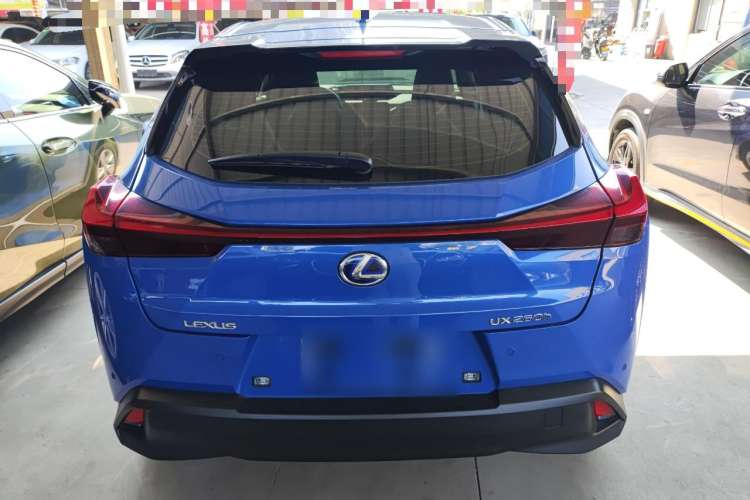 Used Lexus UX 2020 260h Explore & Adventure Edition Rear