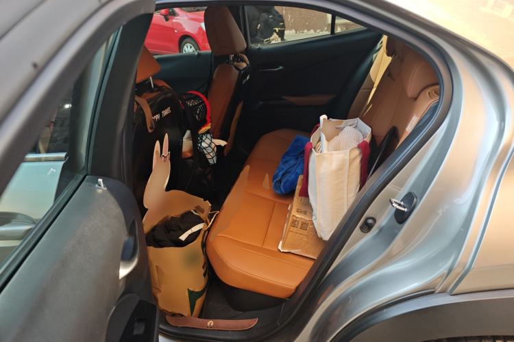 Used Lexus UX 2020 260h Explore & Adventure Edition Left Rear Seat
