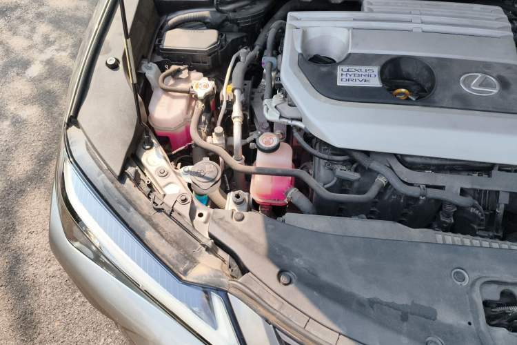 Used Lexus UX 2020 Revised Version 260h F SPORT Edition Engine Bay Right