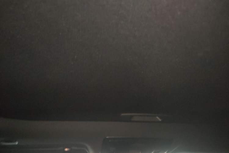 Used Lexus UX 2020 200 Special Edition Headliner