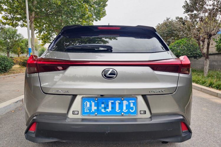 Used Lexus UX 2020 200 Special Edition Rear
