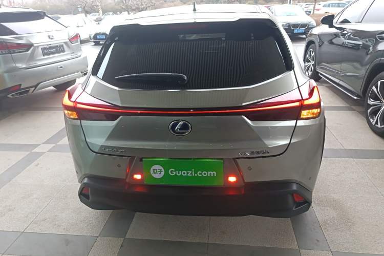 Used Lexus UX 2020 260h Explore & Adventure Edition Rear